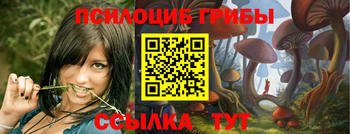 Галлюциногенные грибы ЛСД Горно-Алтайск